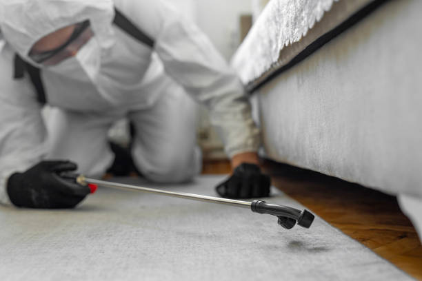 Professional Cockroach Control technician working in South Dos Palos, CA
